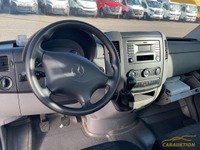 NAEF243_2825788 vehicle image