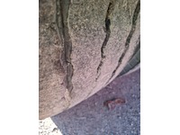 0173026 vehicle image