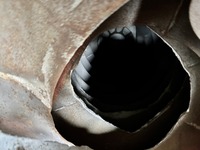 BAFA4_2810968 vehicle image