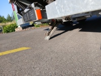 SPAH8597_2951467 vehicle image