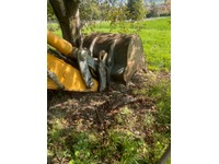 KHAL6078_2747025 vehicle image