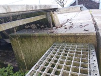 GRAF4332_2876785 vehicle image