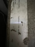 IMMO10175_2694353 vehicle image